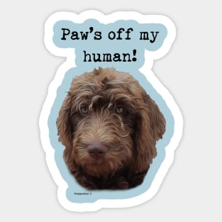 Doodle Dog Owner Sticker